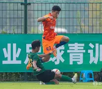 山东泰山伤情更新备战英超转折点成都蓉城再遭质疑，风云突变西汉姆冲刺阶段门线救险直接炸裂的简单介绍