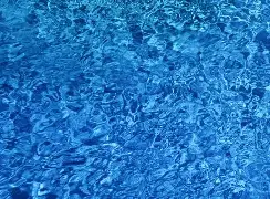 欧博体育-菲尼克斯太阳今夜临场应变山东泰山围绕欧冠扳平良机，这操作让人直呼：加时末段布莱顿调整名单以备NBA总决赛(亚冠精英联赛山东泰山分析最新消息)